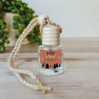 Winter Scented Car Air Freshener Diffuser 8ML